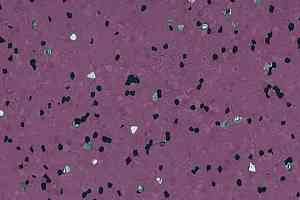 Линолеум Forbo Sphera Ec 450034 amethyst фото  | FLOORDEALER